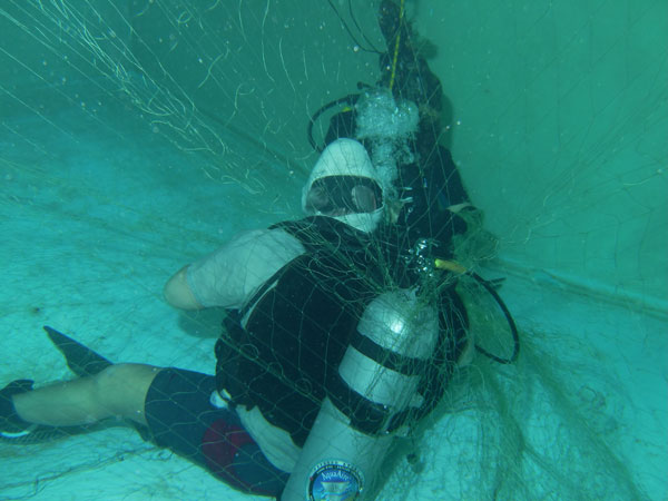 Dive Training - Diver in Net